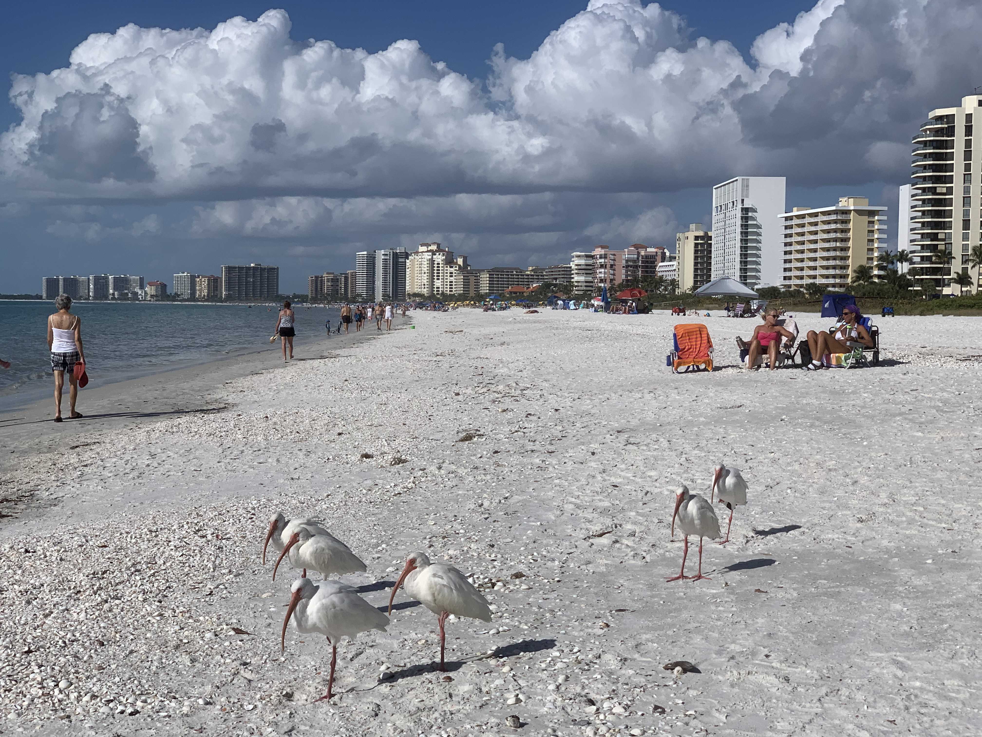 Marco Island